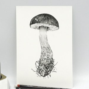 ORIGINAL Mushroom Pencil Drawing, Mushroom Wall Art, Forest Woodland Nature Decor, Unique Gift, Original Pencil Sketch Artwork Unframed
