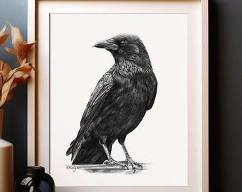 May include: A black and white drawing of a crow perched on a branch. The crow is facing to the left and has its wings folded. The drawing is done in a realistic style.