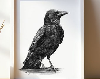 Screaming Crow - A6/A5 Print - Etsy