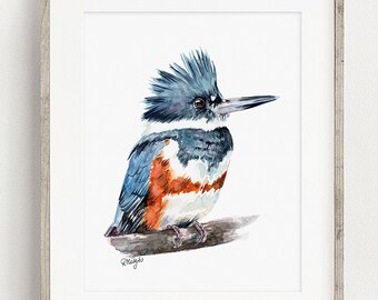 Belted Kingfisher Art PRINT, Water Bird Watercolor Painting Wall Art, American Wildlife, Print from Original Painting Unframed