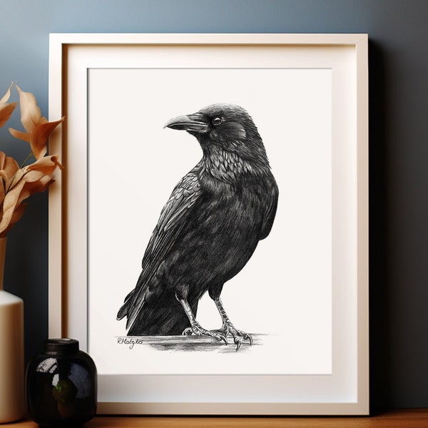 Raven Bird Art PRINT, Raven Pencil Drawing Wall Art, Nature Decor, Corvid Crow Bird, Print from Original Pencil Sketch Unframed