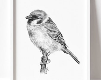 PRINTABLE Sparrow Print, Bird Drawing Wall Art Print, Sparrow Pencil Drawing Wall Art, Garden Bird Sketch, Wildlife Poster INSTANT DOWNLOAD