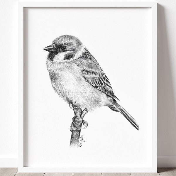 PRINTABLE Sparrow Print, Bird Drawing Wall Art Print, Sparrow Pencil Drawing Wall Art, Garden Bird Sketch, Wildlife Poster INSTANT DOWNLOAD