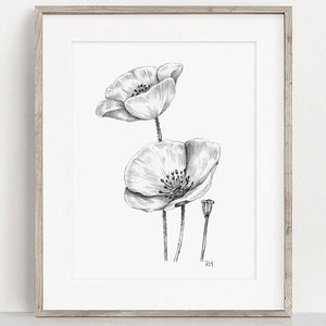 Poppies Art PRINT, Wildflower Wall Art, Nature Decor, Poppy Floral Sketch, Print from Original Pencil Sketch Unframed