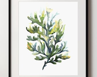 Seaweed Art PRINT, Watercolour Green Wall Art, Marine Bathroom Print from Original Painting