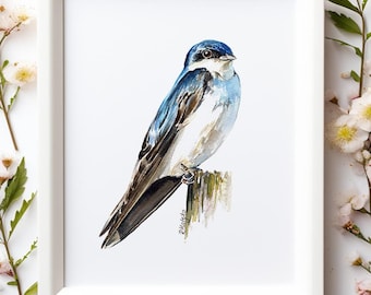 Tree Swallow Art PRINT, Bird Watercolor Painting Wall Art, American Garden Bird Decor Print from Original Watercolour Painting Unframed
