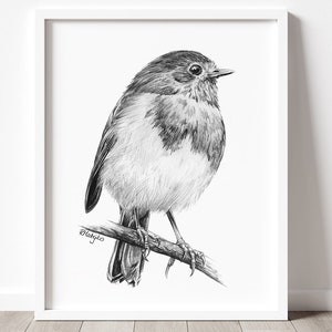 PRINTABLE Robin Wall Art Print, Pencil Drawing Wall Art, Bird Sketch, Garden Bird Art, Bird Watcher Gift Idea INSTANT DOWNLOAD