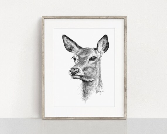 Set Di 4 Sottobicchieri Con Volpe Astratta – Design Cartoon Wildlife – Regalo Originale Art #15616