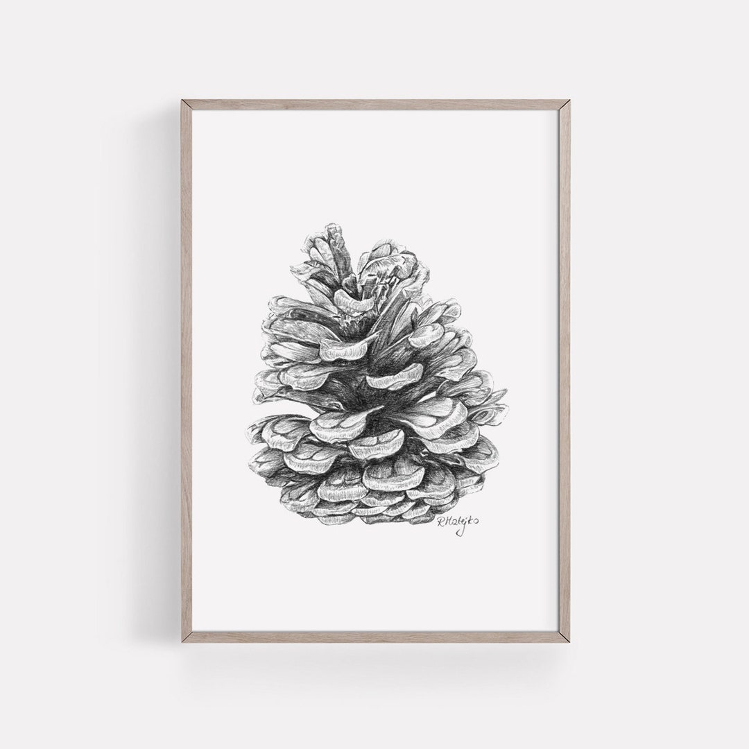 PRINTABLE Pine Cone Art Print, Graphite Pencil Drawing, Woodland Decor