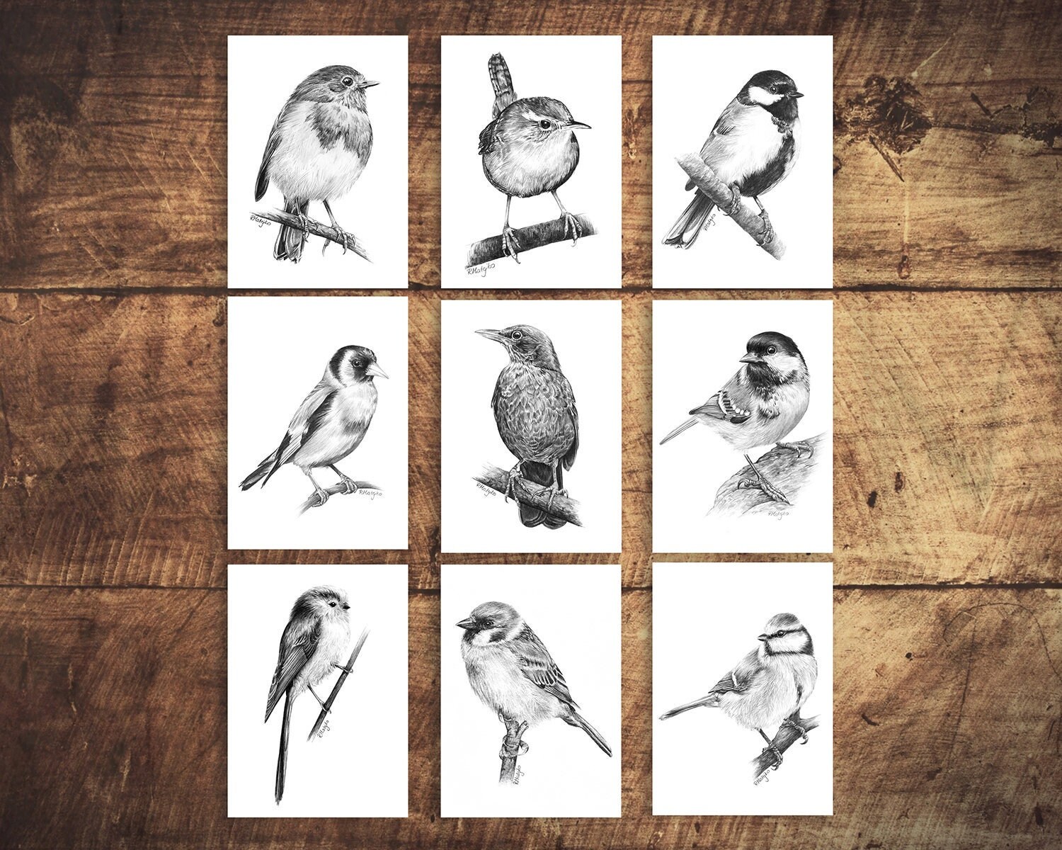 SIGNED ACEO Collection of 9 Mini Bird Prints, Pencil Drawing Trading ...