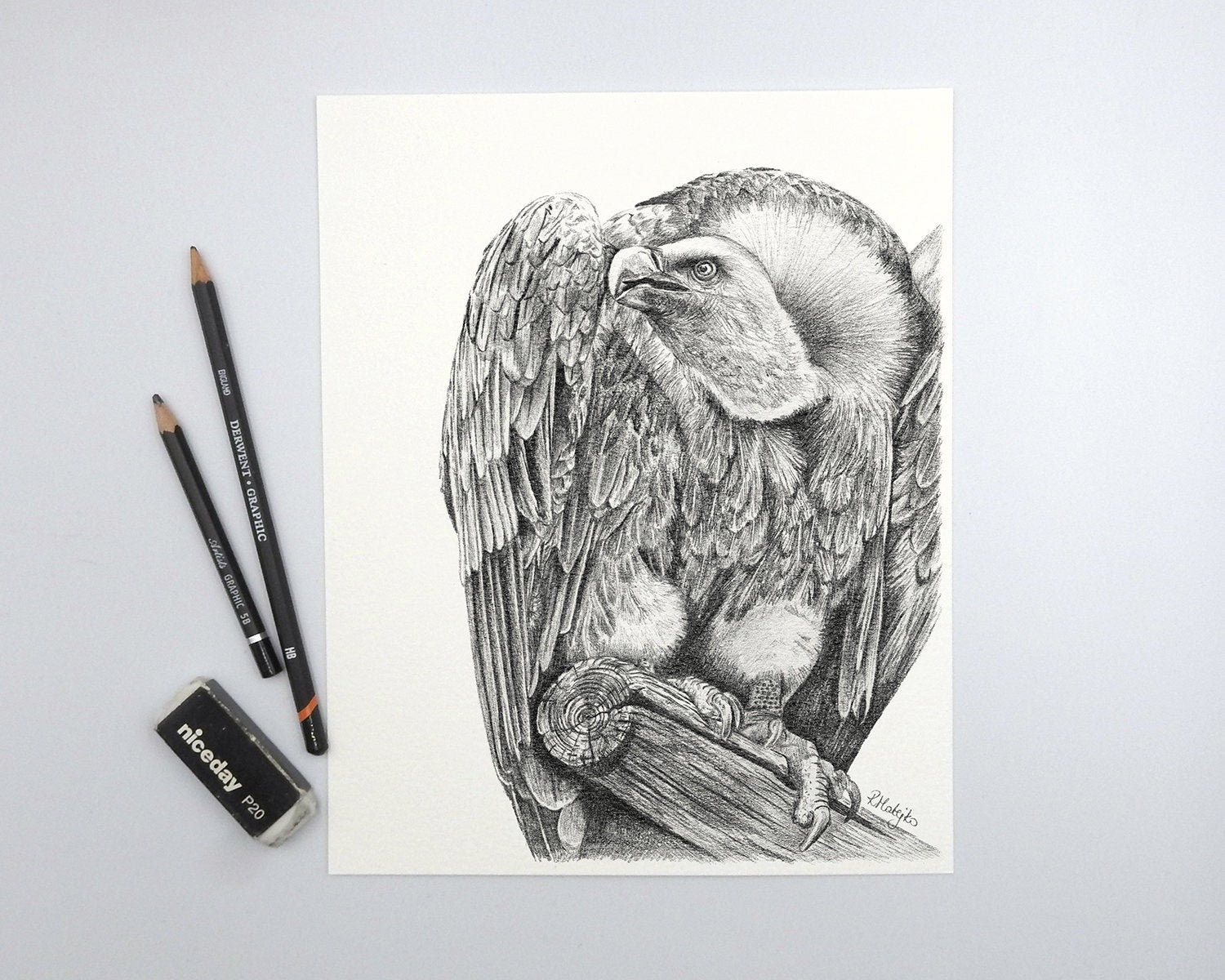 Buy ORIGINAL Vulture Bird Pencil Drawing Vulture Wall Art Nature ...