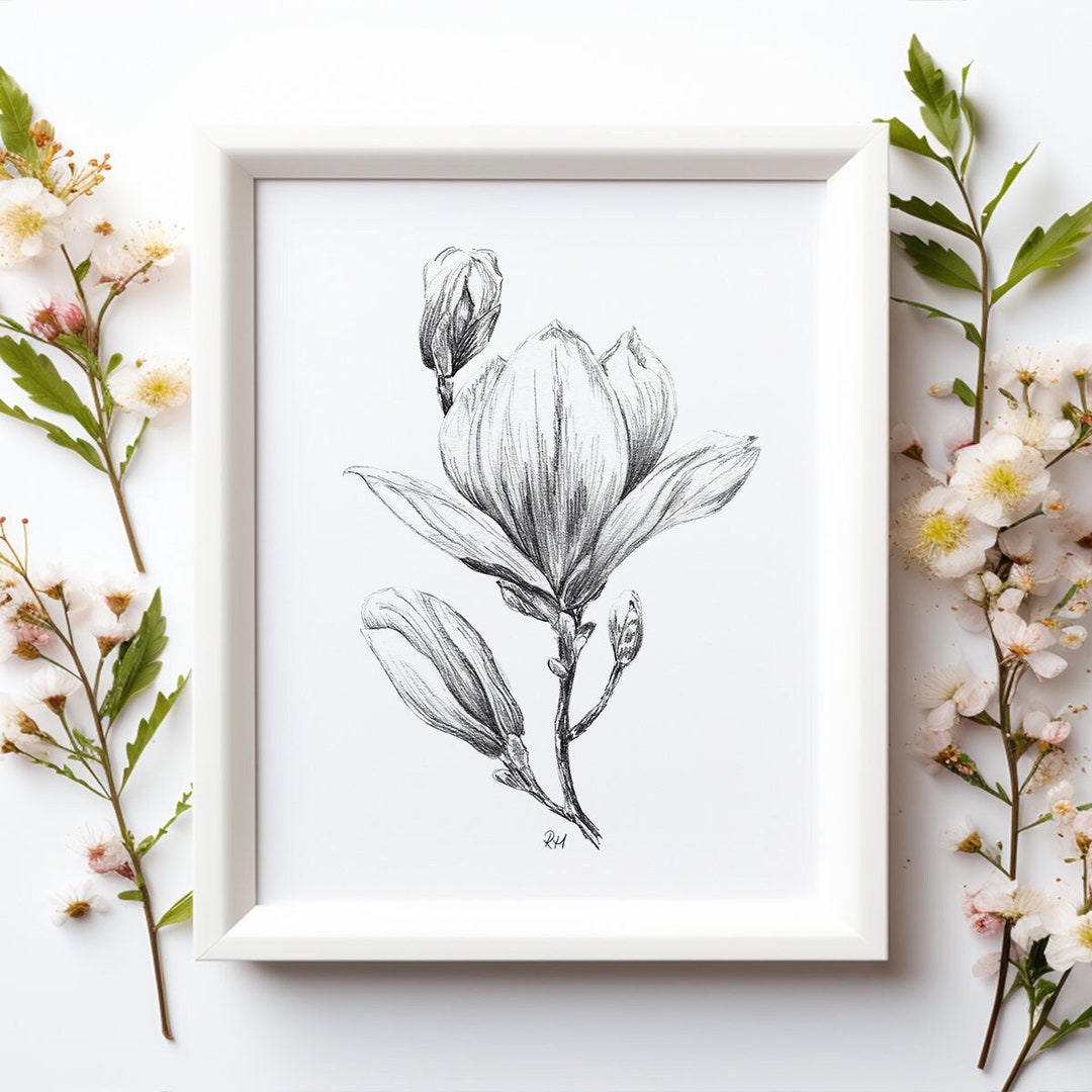 PRINTABLE Magnolia Art Print, Graphite Pencil Drawing, Botanical Wall ...