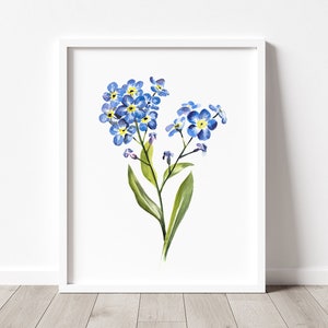 Myosotis Art PRINT, Peinture à laquarelle de fleur Art mural, Décor bleu, Impression à partir dune aquarelle originale non encadrée image 3