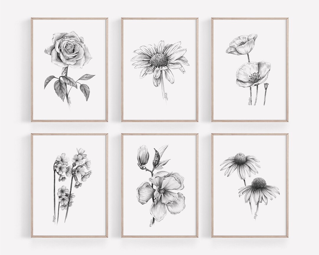 PRINTABLE Flowers Wall Art Print Set of 6, Graphite Pencil Drawings