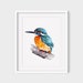 PRINTABLE Kingfisher Watercolour Art Bird Painting British - Etsy