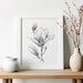 PRINTABLE Magnolia Art Print Graphite Pencil Drawing - Etsy