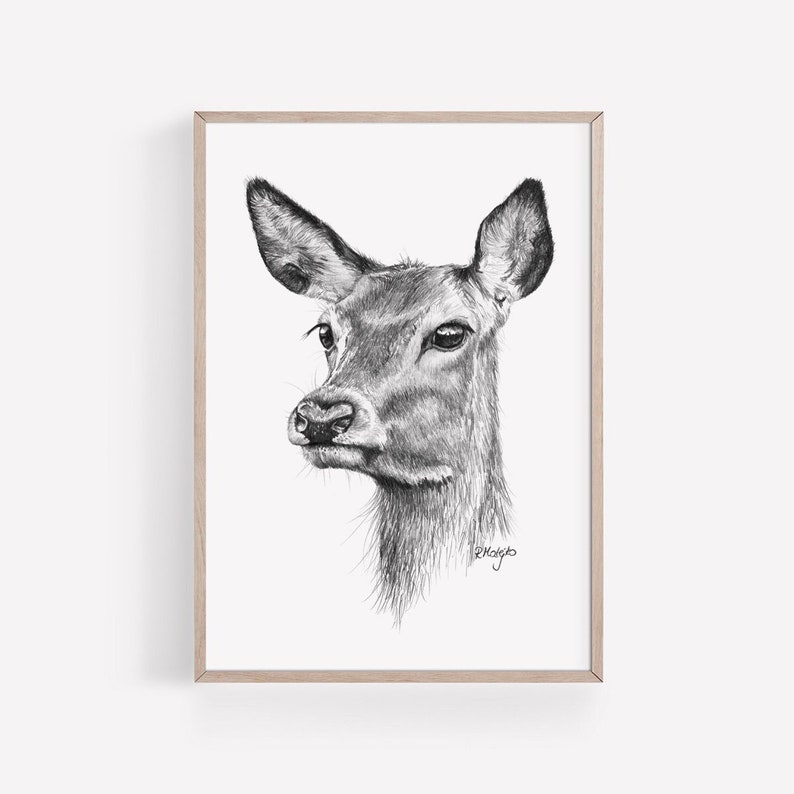 PRINTABLE Deer Art Print Red Deer Pencil Drawing Wall Art - Etsy