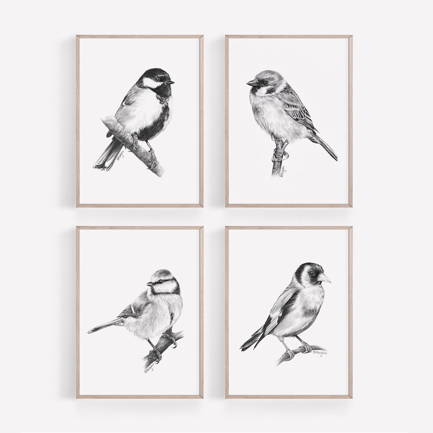 Bird Sketches(バード・スケッチズ) How I layout sketchbook pages - bird sketching edition