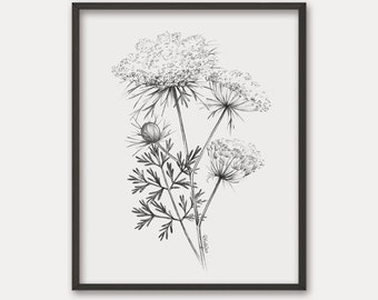 BOTANICAL ART 【import品】 81lWNXC6o2L._UF894,1000_QL80_.jpg