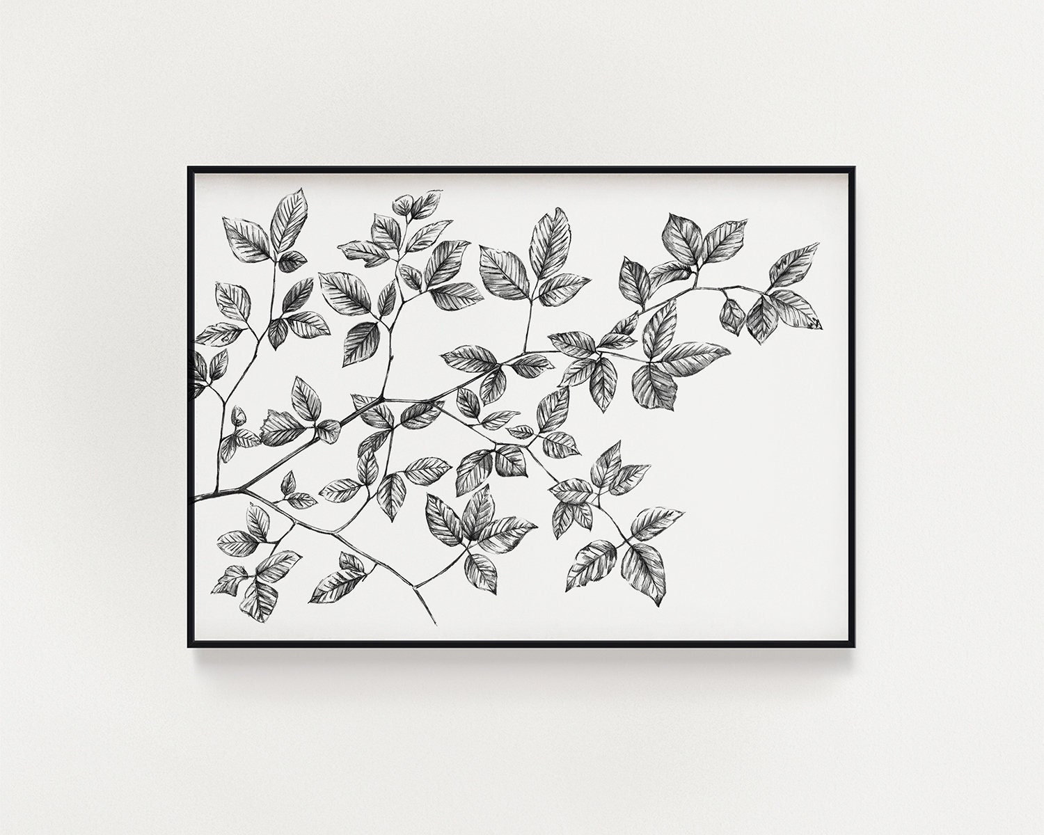 Vector pencil sketch of a plant leaf Flat Doodle style Isolated on white  background for coloring book wedding design logo or postcard Stock Vector  Image  Art  Alamy