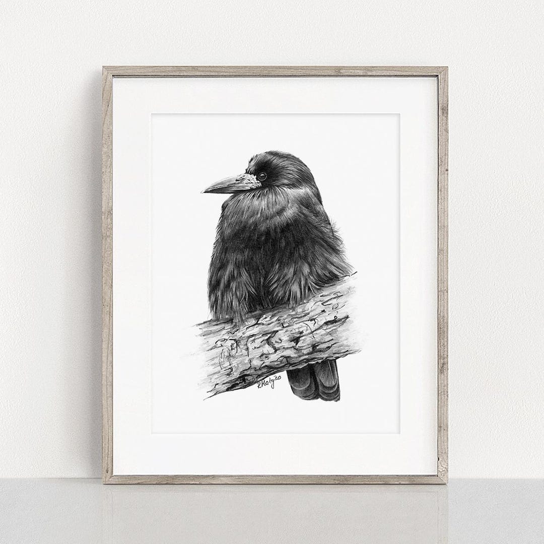 Rook Bird Art PRINT, Rook Pencil Drawing Wall Art, Nature Decor, Corvid ...