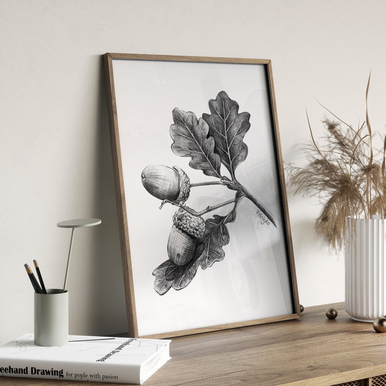 Acorn Art PRINT, Nut Graphite Pencil Drawing, Woodland Decor, Autumn Sketch, Autumn Nature Print from Original Pencil Sketch Unframed image 2