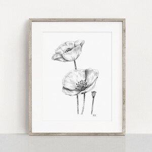 Poppies Art PRINT, Wildflower Wall Art, Nature Decor, Poppy Floral Sketch, Print from Original Pencil Sketch Unframed image 4