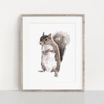 Squirrel Art Prints