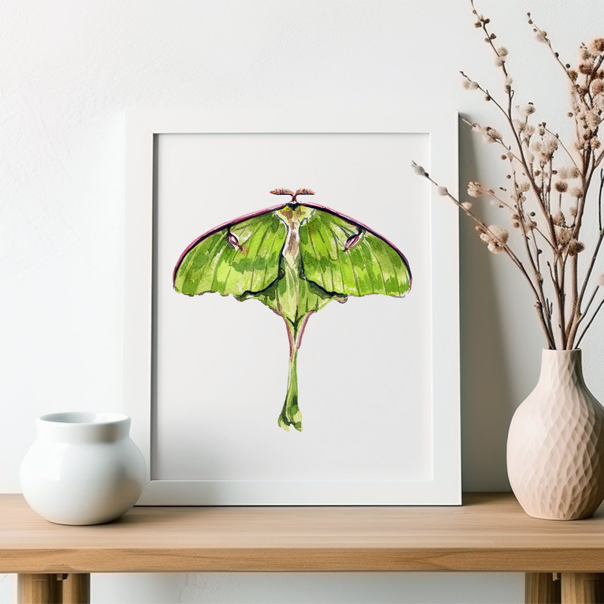 Luna Moth Wall Art PRINT, Insect Art, Entomology Illustration, Green ...