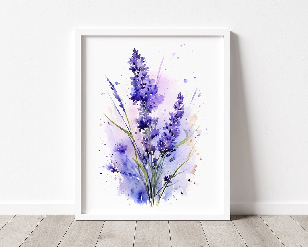 lavender plants for sale nearby Lavender 'Goodwin Creek Grey' main image 1