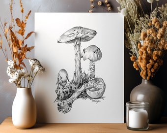 ORIGINAL Mushroom Pencil Drawing, Destroying Angel, Fungi Wall Art, Forest Woodland Nature Decor, Cottagecore Art Sketch Unframed