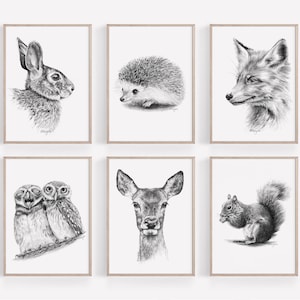PRINTABLE Woodland Wall Art Set of 6, Pencil Drawing Autumn Animals Wall Art, Forest Woods Decor, Print from Original Pencil Sketch