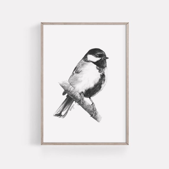 Garden Birds Wall Art PRINTS Set of 4, Pencil Drawings