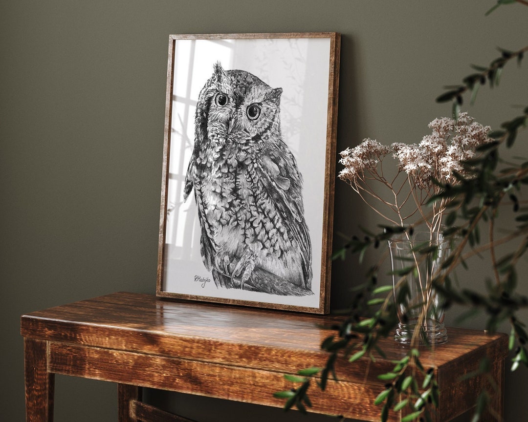 Screech Owl Wall Art PRINT Pencil Drawing Wall Art Bird of Etsy