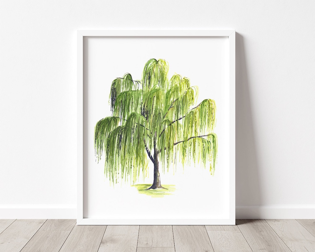 PRINTABLE Willow Tree Art - Watercolor Weeping Willow Tree
