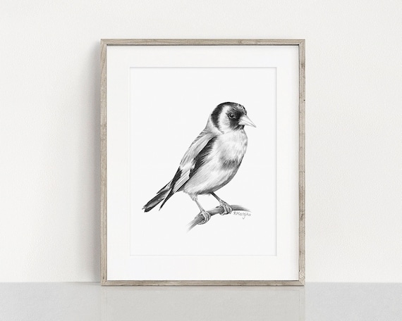 PRINTABLE Goldfinch Art Print, Pencil Drawing Wall Art, Bird