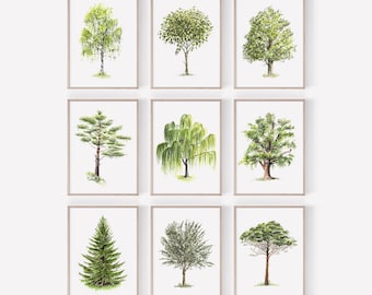 Tree Art PRINT Set of 9, Watercolor Green Summer Tree Wall Art, Oak Birch Pine Spruce Chestnut Willow Gumtree Prints from Original Paintings