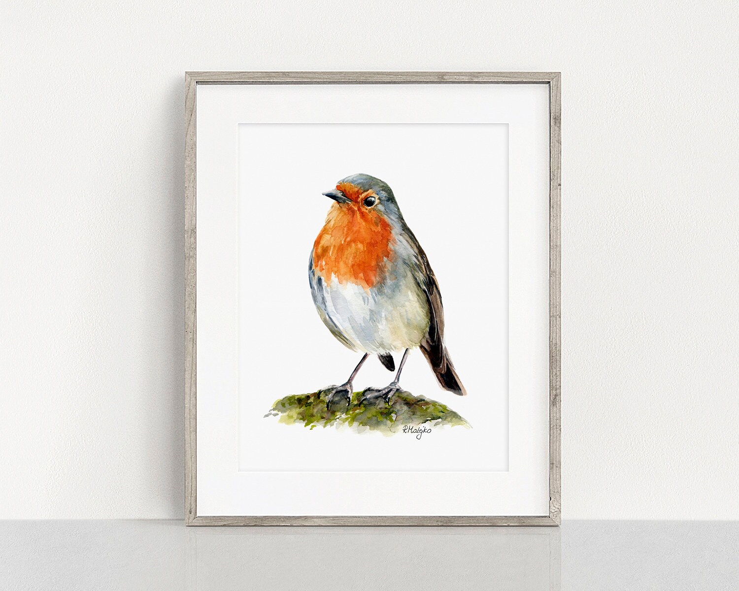 新作 新品 鳥 plum robin ロビン コマドリ 新作 新品 ジェリーキャット