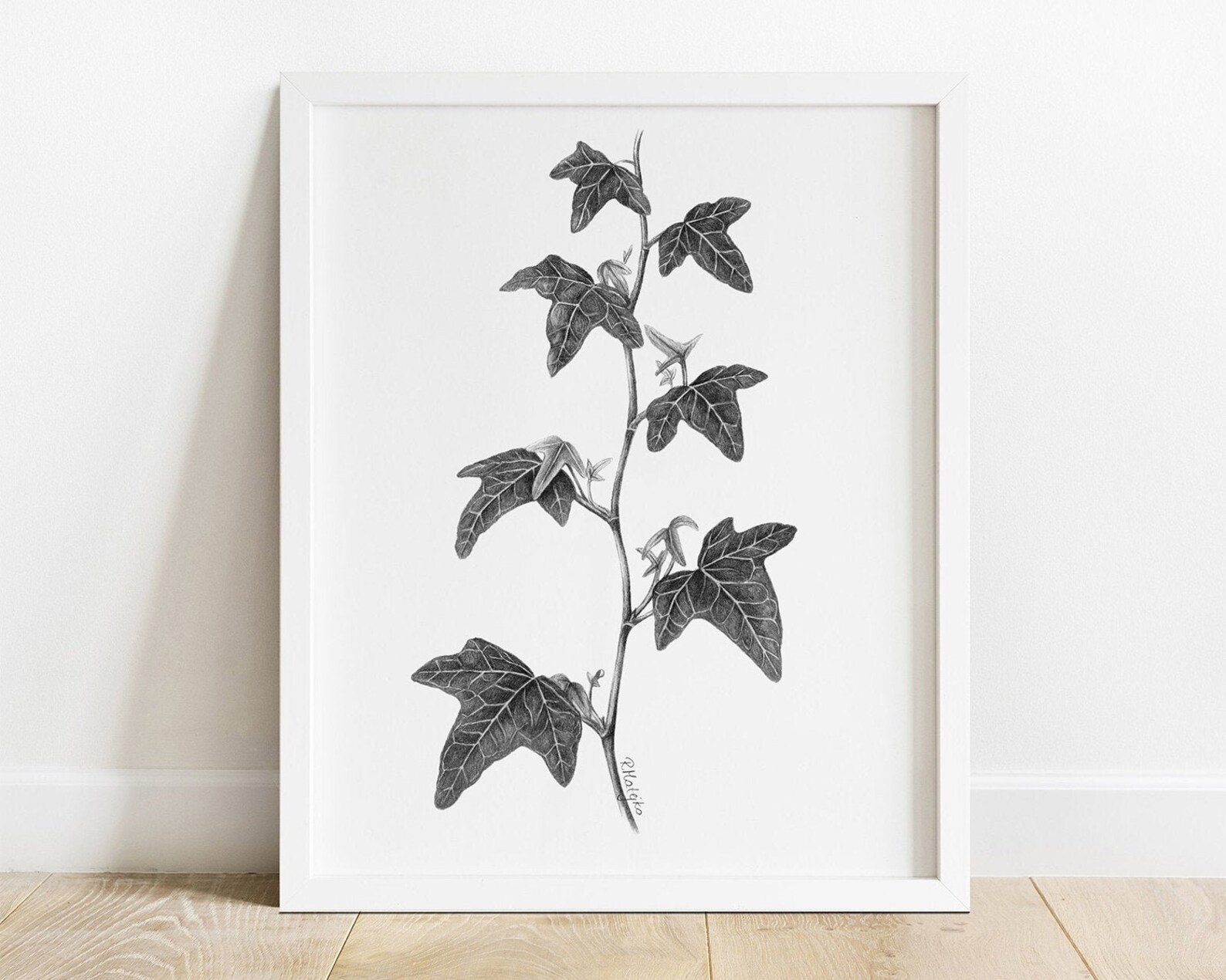 Ivy Drawing Wall Art Print Graphite Pencil Drawing Botanical Etsy