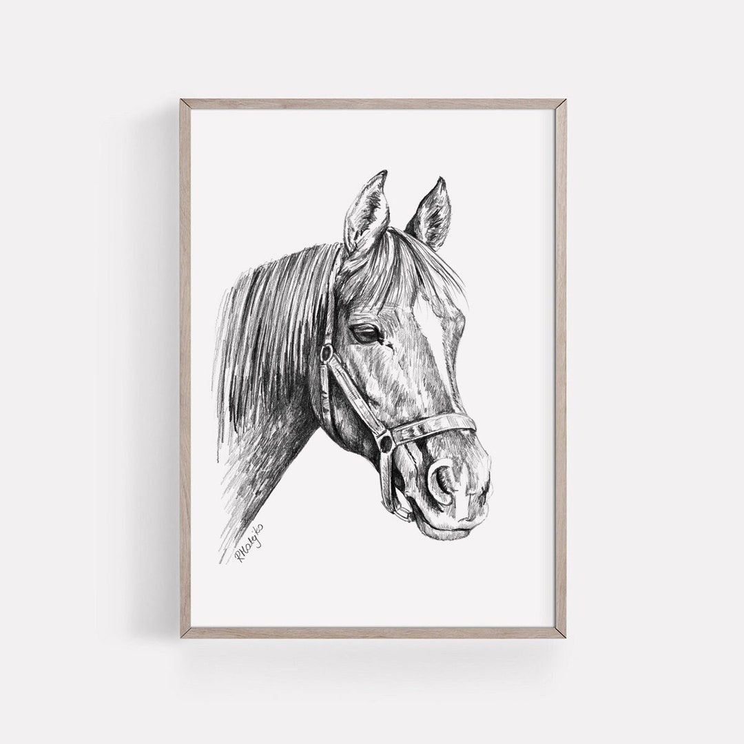 PRINTABLE Horse Print, Pencil Drawing Horse Wall Art, White Horse ...