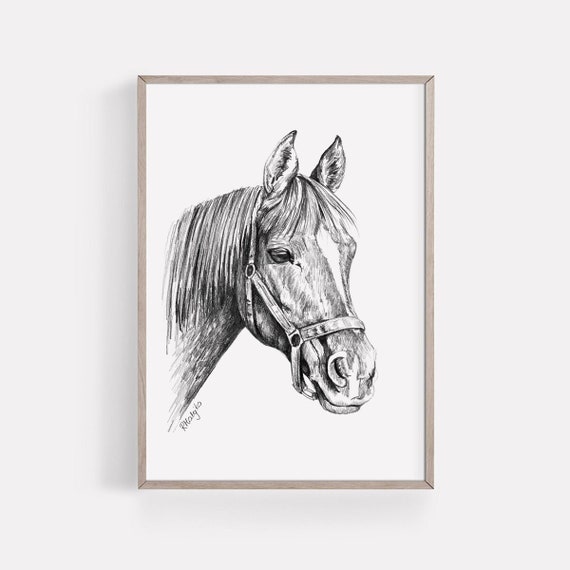 NEW BLACK RUNNING HORSE WALL STICKER  Luxury  Stylish  Horse wall art Horse  wall stickers Horse wall