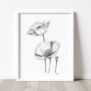 Poppies Art PRINT, Wildflower Wall Art, Nature Decor, Poppy Floral Sketch, Print from Original Pencil Sketch Unframed image 6