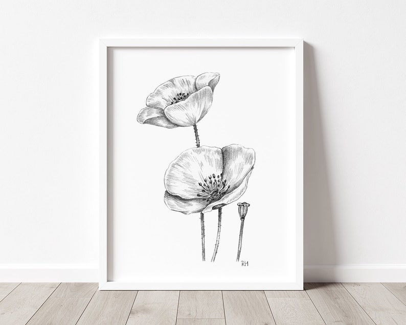 Poppies Art PRINT, Wildflower Wall Art, Nature Decor, Poppy Floral Sketch, Print from Original Pencil Sketch Unframed image 6