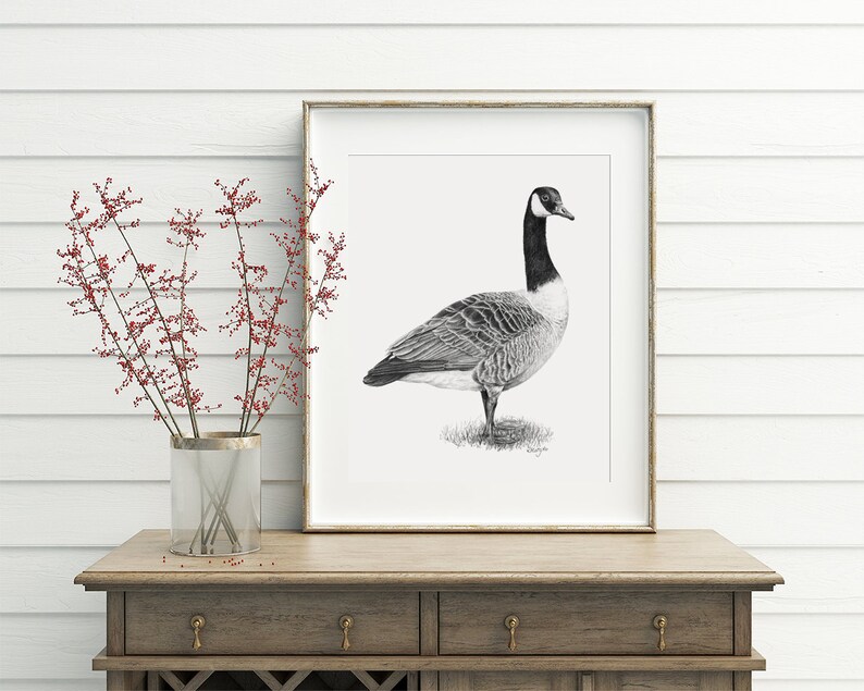 Puede incluir: Un dibujo a l&aacute;piz en blanco y negro de un ganso canadiense en un marco simple y moderno. El dibujo est&aacute; sobre un fondo blanco y se muestra en una mesa de madera con un jarr&oacute;n de bayas rojas.