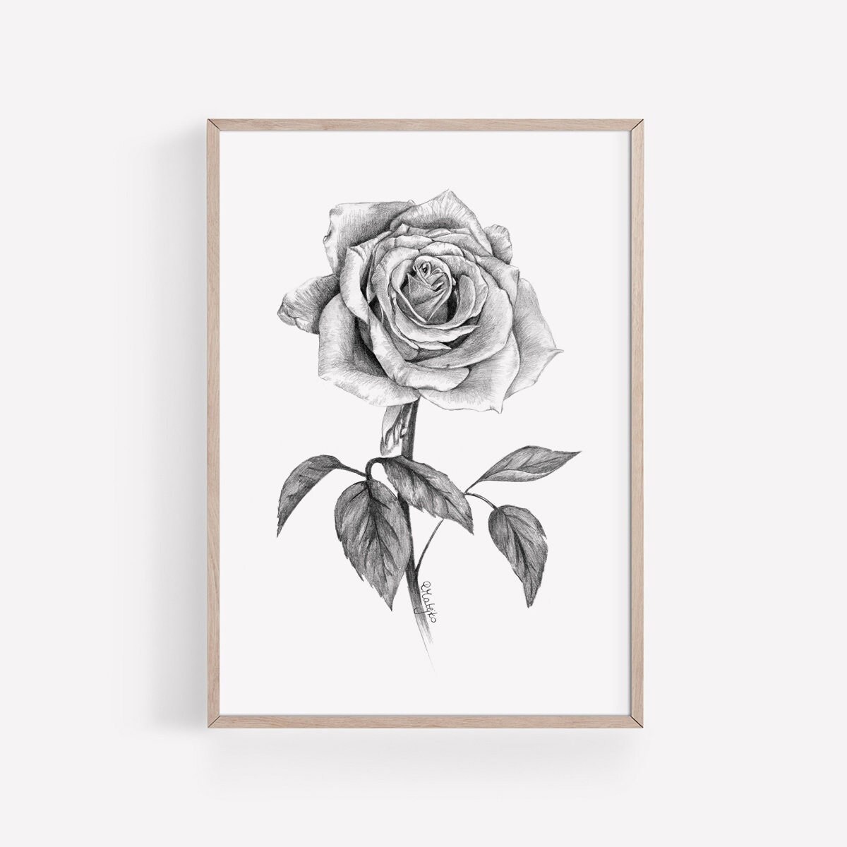 Rose Flower Drawing beautiful, rose drawing HD wallpaper | Pxfuel