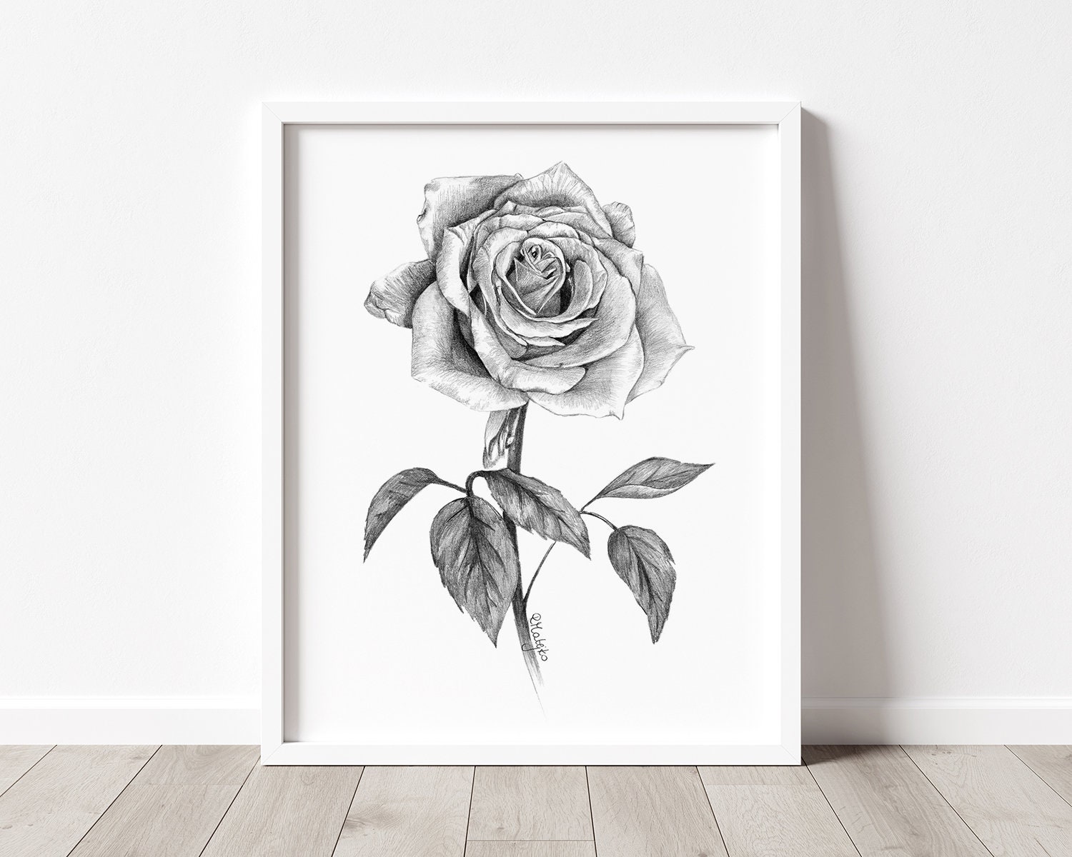 Buy Pencil Drawing Plant Online In India  Etsy India