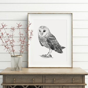 May include: A black and white pencil drawing of a barn owl perched on a branch. The drawing is framed in a light wood frame and is hanging on a white wall.