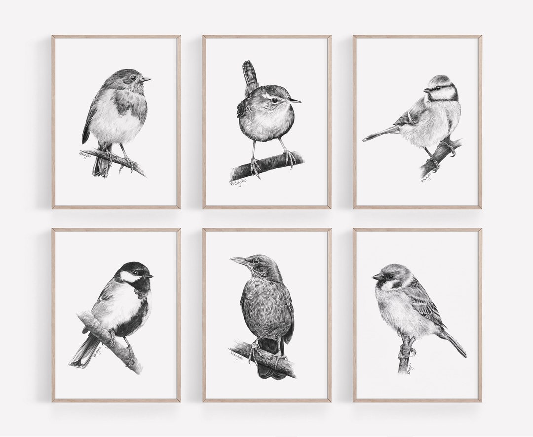 PRINTABLE Garden Birds Wall Art Print Set of 6, Birds Pencil Wall Art
