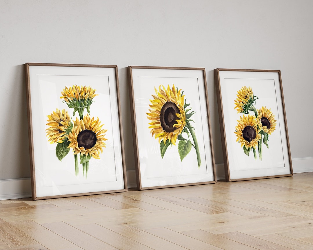 Conjunto de pared de galería Pradera de Girasoles de HomeSense
