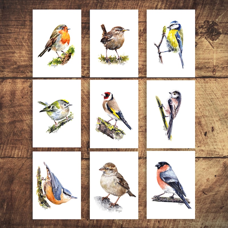 Aceo - Etsy